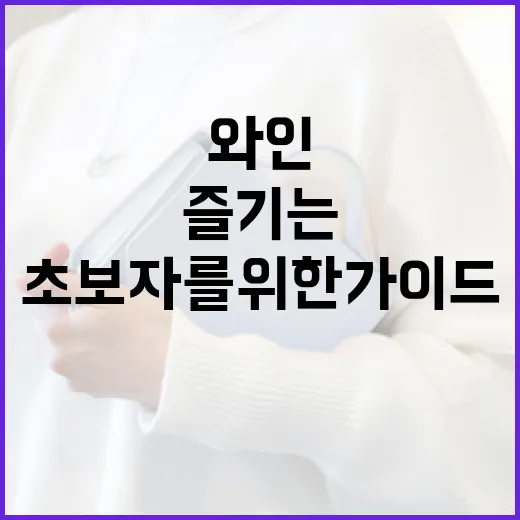 타낫 와인을 즐기는 방법: 초보자를 위한 가이드 - 요약