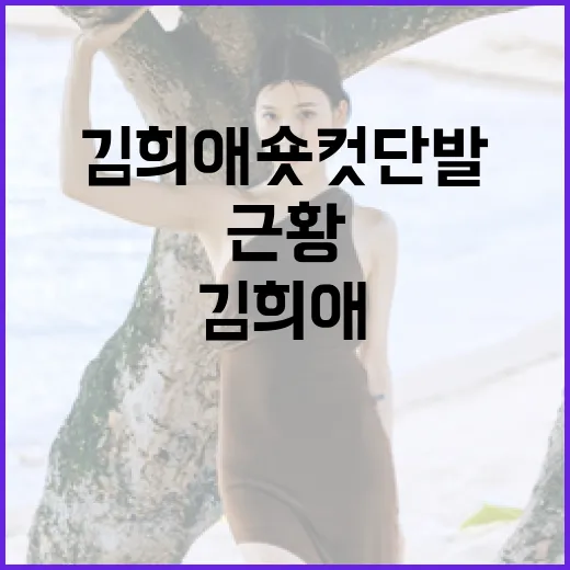 김희애 숏컷 단발 스타일링 방법과 최신 근황 알아보기 - 요약