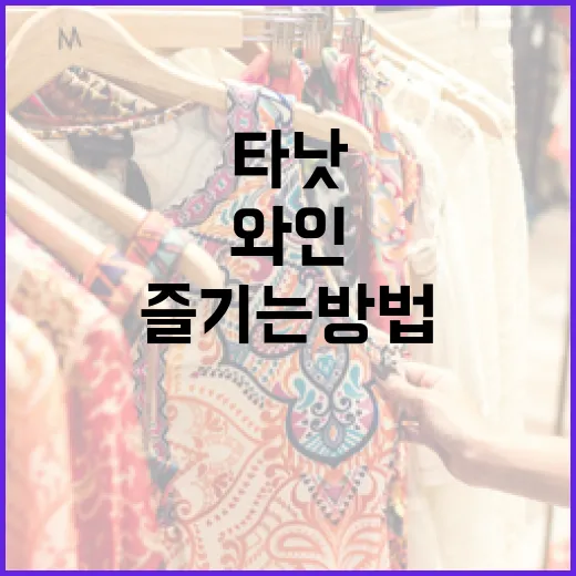 타낫 와인을 즐기는 방법 - 요약