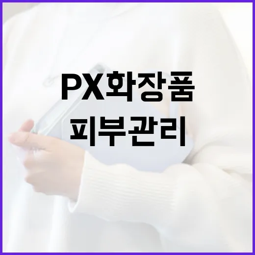 px 화장품으로 피부 관리하는 방법 - 요약