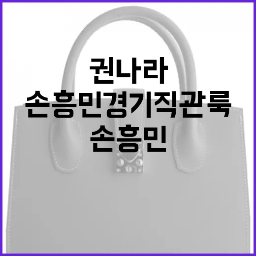 권나라처럼 손흥민 경기 직관룩 연출하는 방법