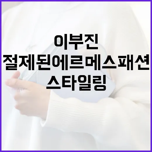 이부진처럼 절제된 에르메스 패션을 스타일링하는 방법 - 요약