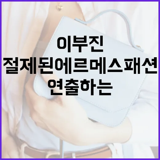 이부진처럼 절제된 에르메스 패션을 연출하는 방법 - 요약