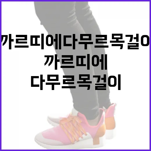 까르띠에 다무르 목걸이 선택하는 방법 - 요약