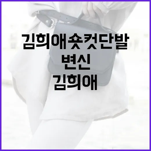 김희애 숏컷 단발 스타일로 변신하는 방법 - 요약