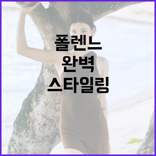 폴렌느 스타일링을 완벽하게 소화하는 방법 - 요약