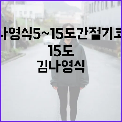 김나영식 5~15도 간절기 코디를 완벽하게 하는 방법 - 요약