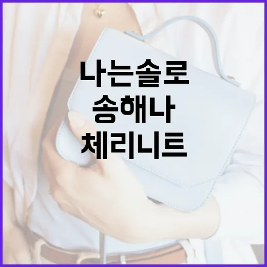 나는솔로 송해나의 체리 니트 스타일링 방법 - 요약