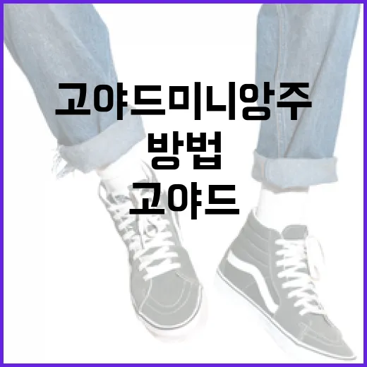 고야드 미니앙주를 스타일리시하게 활용하는 방법 - 요약