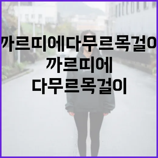 까르띠에 다무르 목걸이를 선택하는 방법 - 요약