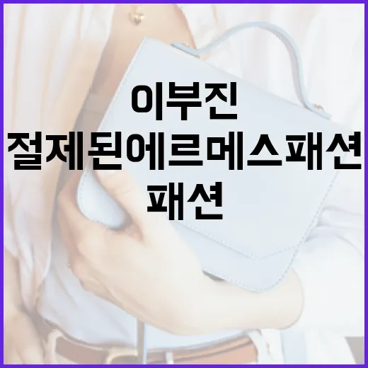 이부진의 절제된 에르메스 패션을 따라하는 방법 - 요약