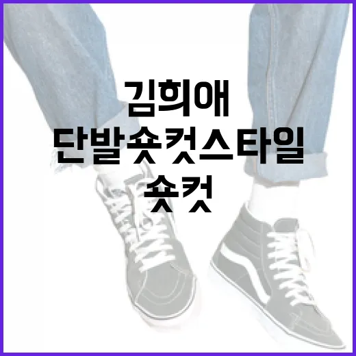 김희애의 단발 숏컷 스타일, 이렇게 연출하세요 - 요약