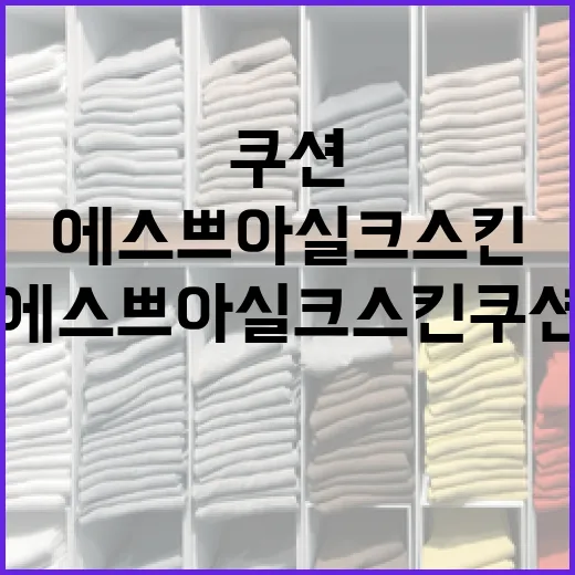 에스쁘아 실크 스킨 쿠션으로 자연스러운 피부 표현하는 방법 - 요약