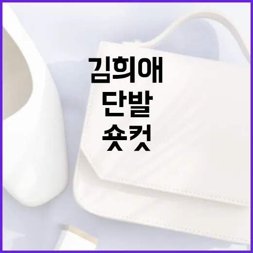 김희애처럼 스타일리시한 숏컷 단발로 변신하는 방법 - 요약