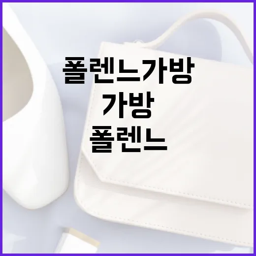 폴렌느 가방을 활용하는 방법: 스타일과 실용성을 동시에 잡기 - 요약