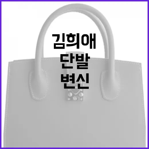 김희애처럼 3040대 단발 스타일로 변신하는 방법 - 요약