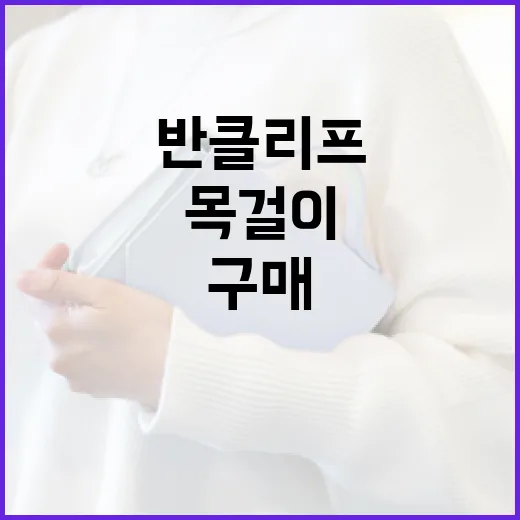 반클리프 목걸이를 구매하기 위한 가이드: 가치를 높이는 방법 - 요약
