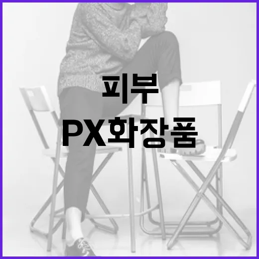 px 화장품을 활용하여 피부를 건강하게 유지하는 방법 - 요약