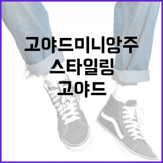 고야드 미니앙주 선택하고 스타일링하는 방법 - 요약