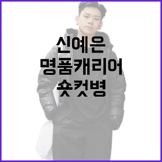 신예은의 명품 캐리어와 숏컷병 스타일링 방법 - 요약