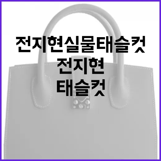 전지현 실물 태슬컷을 따라 하려면 이렇게 - 요약