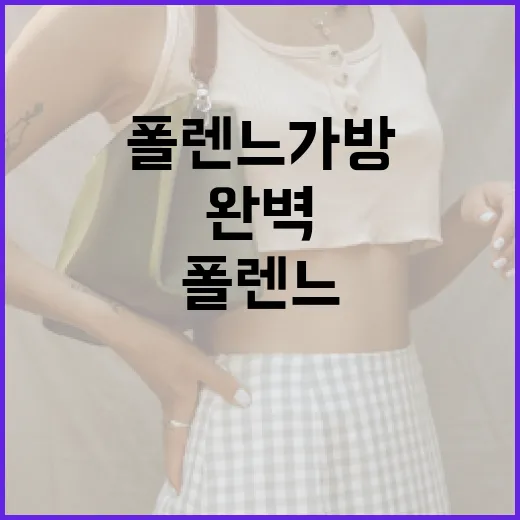 폴렌느 가방을 완벽하게 활용하는 방법 - 요약