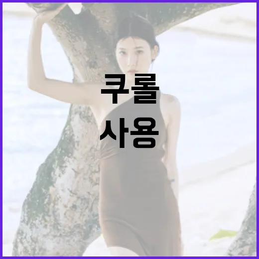 쿠롤을 효과적으로 사용하는 방법 - 요약