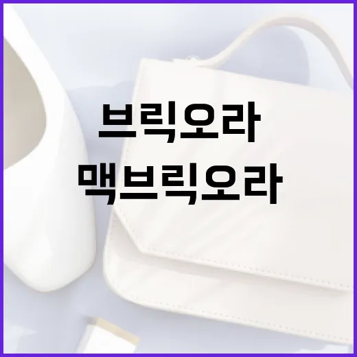 맥 브릭오라 문제 해결하는 방법 - 요약