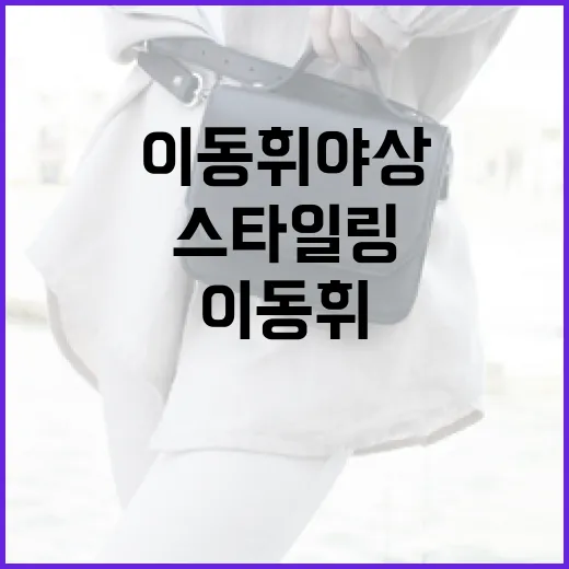 이동휘 야상 스타일링하는 방법 - 요약