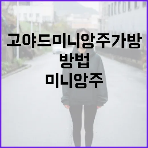 고야드 미니앙주 가방 스타일링하는 방법 - 요약