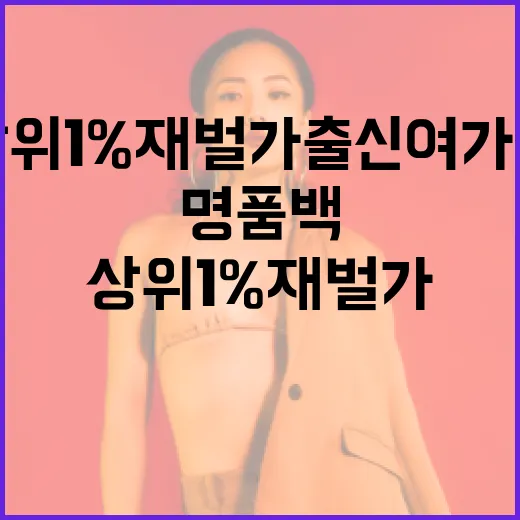 상위 1% 재벌가 출신 여가수의 명품백 스타일링 팁을 배우는 방법 - 요약