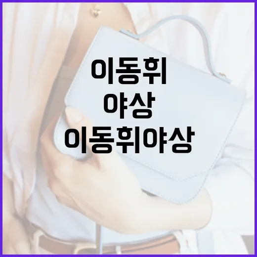 이동휘 야상을 스타일리시하게 입는 방법 - 요약