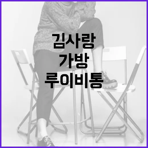 김사랑처럼 100만원대 루이비통 가방으로 스타일링하는 방법 - 요약