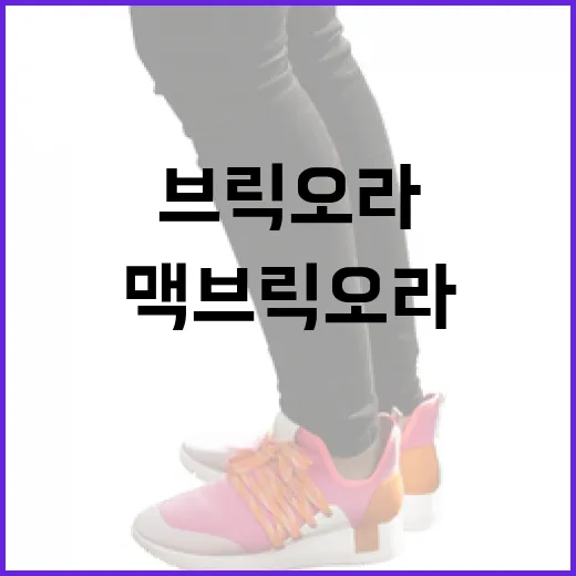 맥 브릭오라 문제 해결하는 방법 - 요약