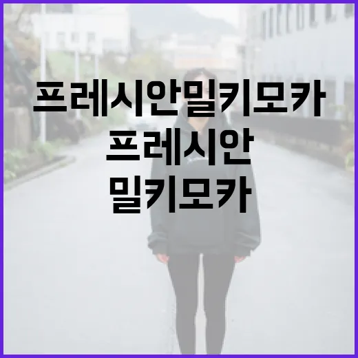 프레시안 밀키모카 즐기는 방법 - 요약