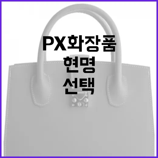 PX 화장품을 현명하게 선택하는 방법 - 요약