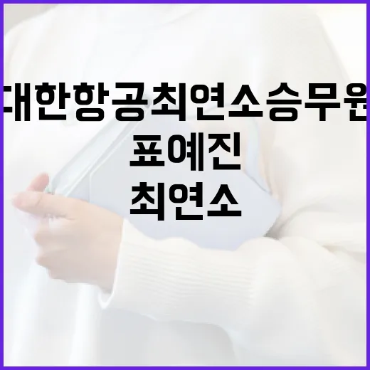 표예진처럼 대한항공 최연소 승무원이 되는 방법 - 요약