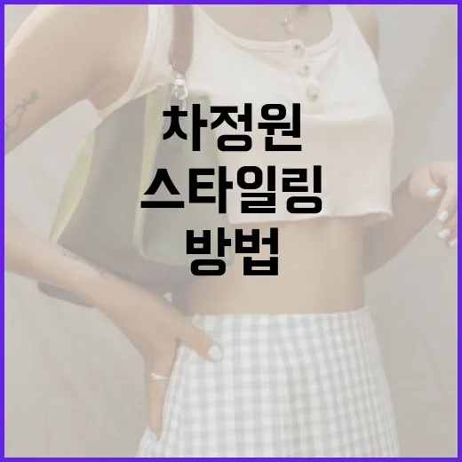 차정원처럼 스타일링하는 방법: 패션 아이콘 따라잡기 - 요약