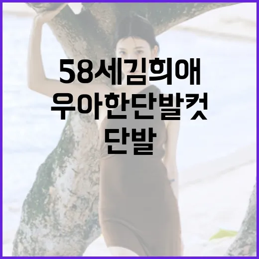 58세 김희애처럼 우아한 단발컷을 연출하는 방법 - 요약