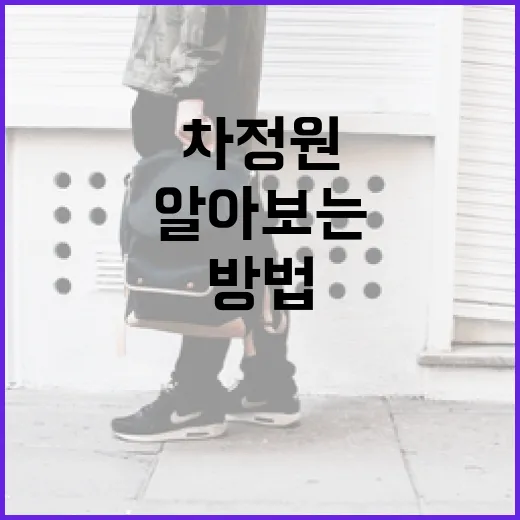 차정원에 대해 알아보는 방법 - 요약