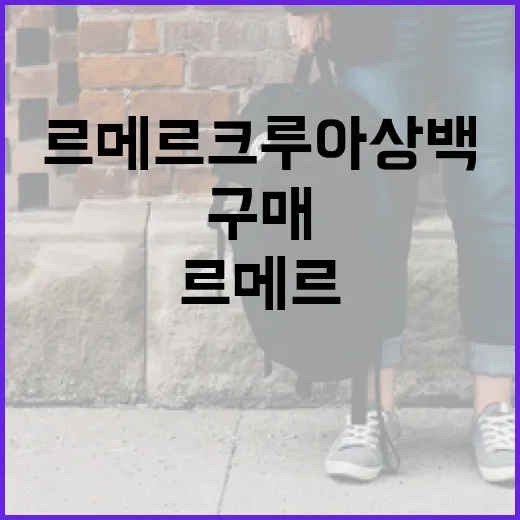 르메르 크루아상백 구매를 위한 가이드: 알아두면 좋은 팁 - 요약