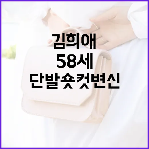 김희애처럼 58세에도 멋진 단발 숏컷 변신하는 방법 - 요약