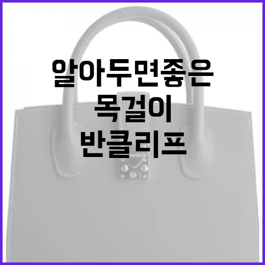 반클리프 목걸이를 구매하는 방법: 알아두면 좋은 팁 - 요약