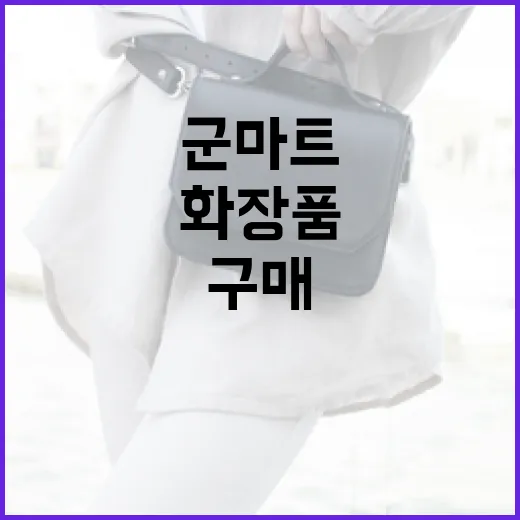 군마트에서 화장품을 현명하게 구매하는 방법 - 요약