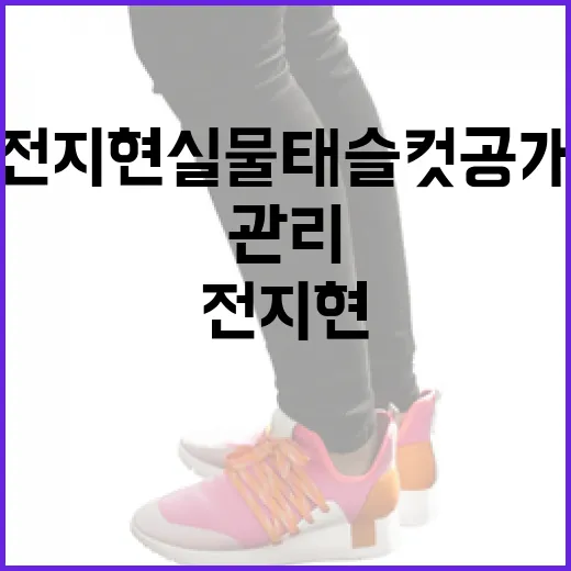 전지현 실물 태슬컷 공개: 스타일링 팁과 관리 방법 - 요약