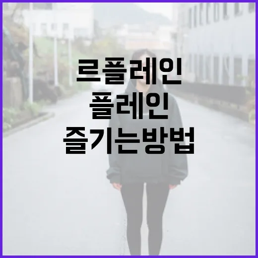 르플레인을 효과적으로 즐기는 방법 - 요약