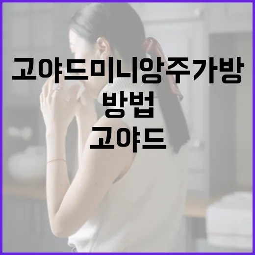 고야드 미니앙주 가방을 스타일리시하게 활용하는 방법 - 요약
