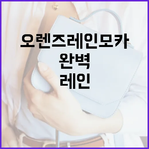 오렌즈 레인모카를 완벽하게 즐기는 방법 - 요약
