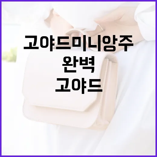 고야드 미니앙주를 완벽하게 활용하는 방법 - 요약
