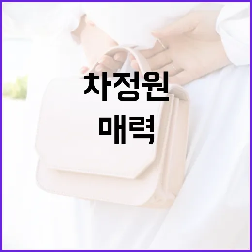 차정원이란? 그의 매력을 알아보는 방법 - 요약